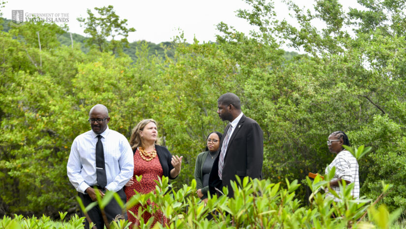 Premier the Honourable Dr. the Honourable Natalio Wheatley visited key locations associated with the BVI SMART Schools project including Willard Wheatley Primary School, the H. Lavity Stoutt Community College Centre for Applied Marine Studies, and Green VI’s Ecopark.